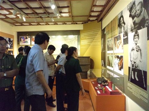 Exhibition on Agent Orange /dioxin victims and their fight for justice opens - ảnh 1